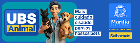 spot_img